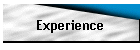 Experience